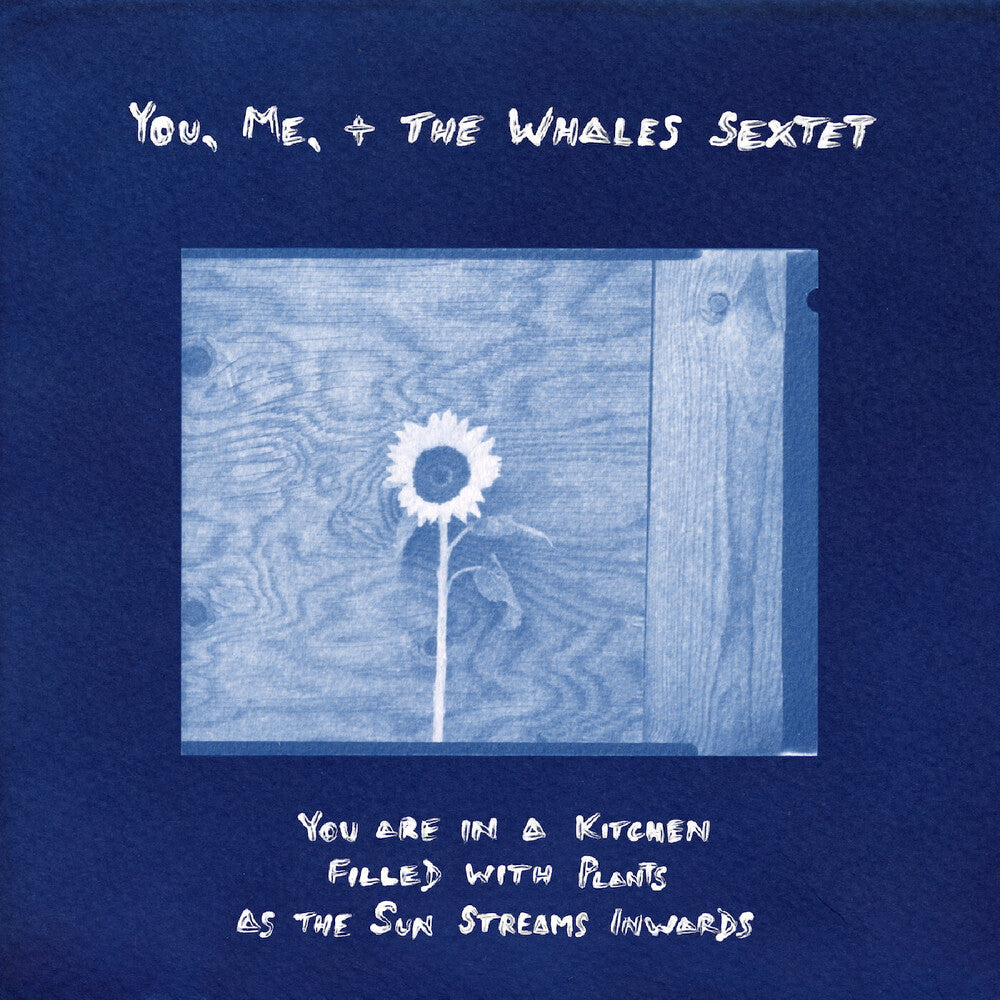 You, Me, + The Whales Sextet - You Are In A Kitchen Filled With Plants As The Sun LP