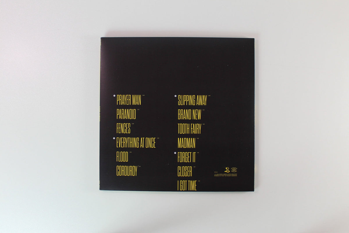 Hippo Campus - Flood on Psychic Hotline Bandcamp Exclusive Azure Dream Vinyl