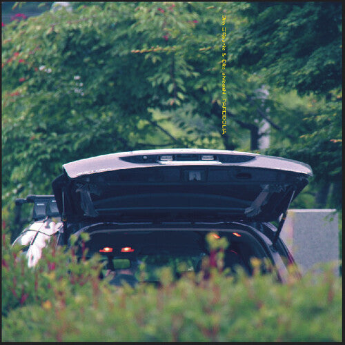 Eiko Ishibashi / Jim O'Rourke - Pareidolia