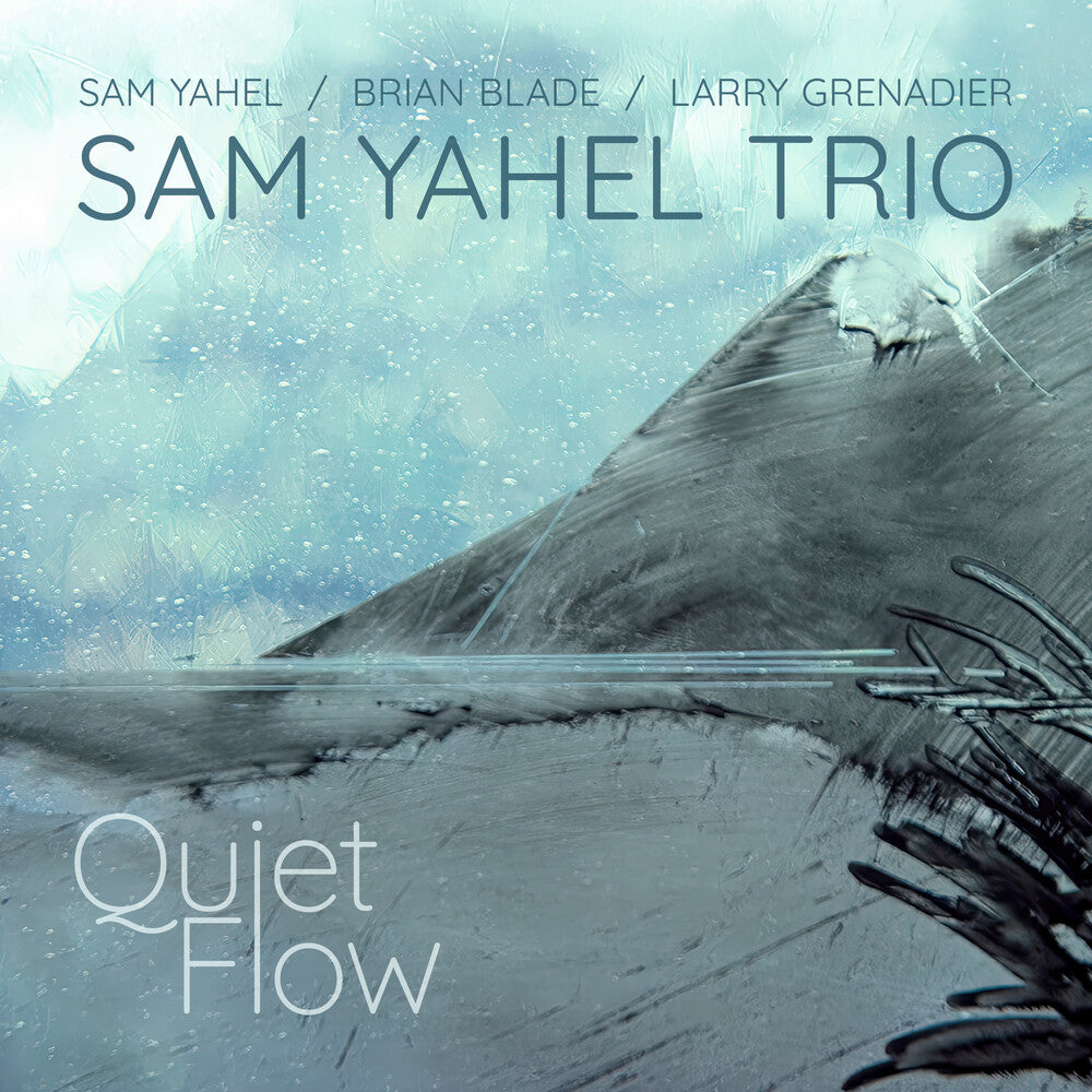 Sam Yahel - Quiet Flow CD