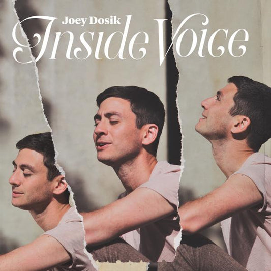 [DAMAGED] Joey Dosik - Inside Voice [White Vinyl]