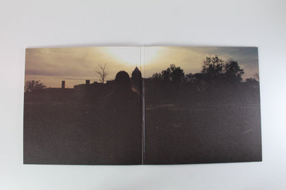 Mammal - Lonesome Drifter on Animal Disguise
