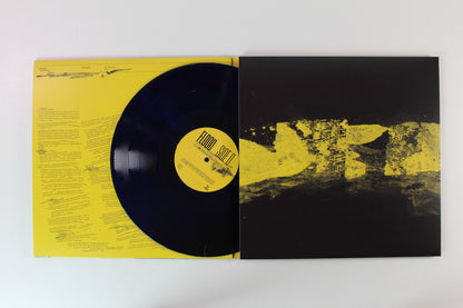 Hippo Campus - Flood on Psychic Hotline Bandcamp Exclusive Azure Dream Vinyl