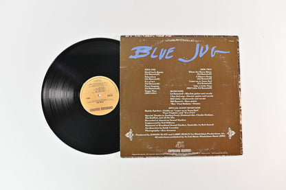 Blue Jug - Blue Jug on Capricorn Records