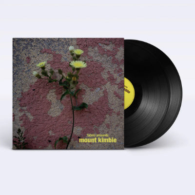 Mount Kimbie - Fabric Presents Mount Kimbie (2LP Vinyl)